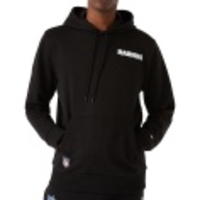 Las Vegas Raiders Outline Team Logo PO Hoody