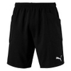 LIGA Casuals Shorts