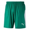 LIGA Short