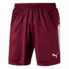 LIGA Short