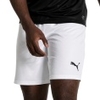 Liga Shorts Core