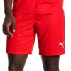 Liga Shorts Core