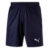 Liga Shorts Core