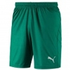 Liga Shorts Core