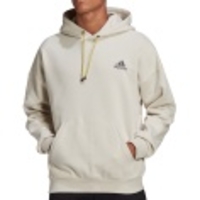 Mountain Street Hoodie