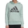 Must Haves Badge of Sport Over-head Hoodie Women