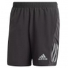 Own The Run Shorts