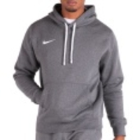 Park 20 Fleece PO Hoodie