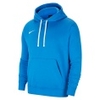 Park 20 Fleece PO Hoodie