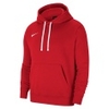 Park 20 Fleece PO Hoodie
