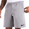 Park 20 Fleece Short KZ