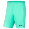 Park III Knit Short NB