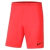 Park III Knit Short NB