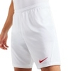 Park III Knit Short NB