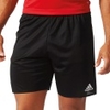 Parma 16 Short