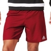 Parma 16 Short