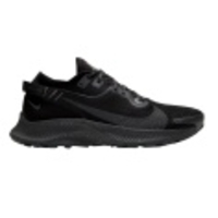 Pegasus Trail 2 GTX