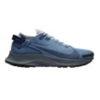 Pegasus Trail 2 GTX