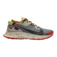 Pegasus Trail 2 GTX