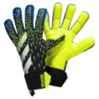 Predator Competition Glove