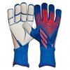 Predator Pro Gloves