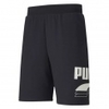 Rebel Bold 9 Inch Short