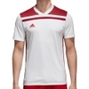 Regista 18 Jersey