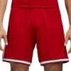 Regista 18 Short
