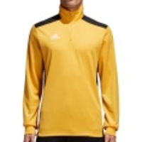 Regista 18 Training Top