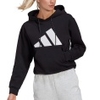 Sportswear Badge of Sport Hoodie Women