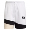 Sportswear Colorblock Shorts