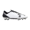 Spotlight BL FG