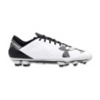 Spotlight BL FG