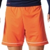 Squadra 17 Short