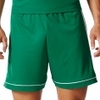 Squadra 17 Short