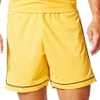 Squadra 17 Short