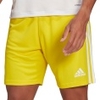 Squadra 21 Shorts