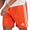 Squadra 21 Shorts