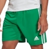 Squadra 21 Shorts