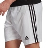 Squadra 21 Shorts