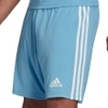 Squadra 21 Shorts