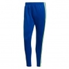 Squadra 21 Training Pant