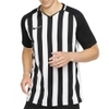 Striped Division III SS Jersey