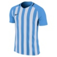 Striped Division III SS Jersey