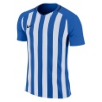 Striped Division III SS Jersey