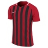 Striped Division III SS Jersey