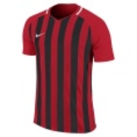 Striped Division III SS Jersey