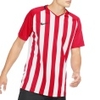 Striped Division III SS Jersey