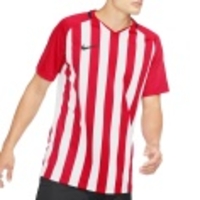 Striped Division III SS Jersey