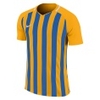 Striped Division III SS Jersey